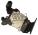 AUDI 0DL300011D 0BH927711F Continental A2C39295900